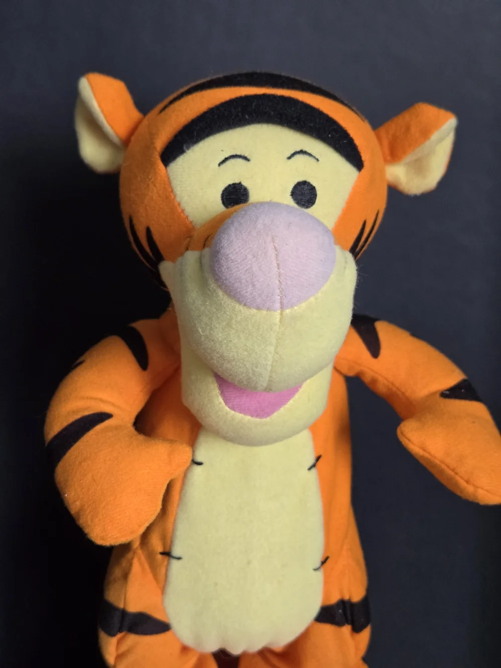 Tigger Disney VTG Fisher-Price 2005 Turbo Tail Bounces/Sings/Talks & Works